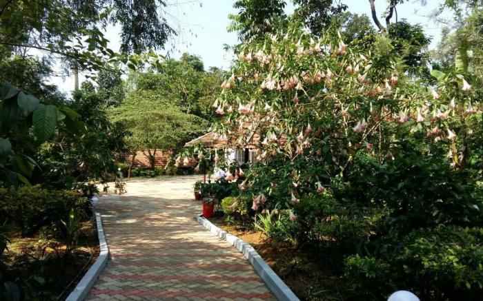 Whispering Woods Coorg