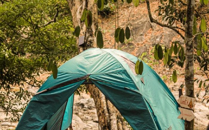 Blue Tent