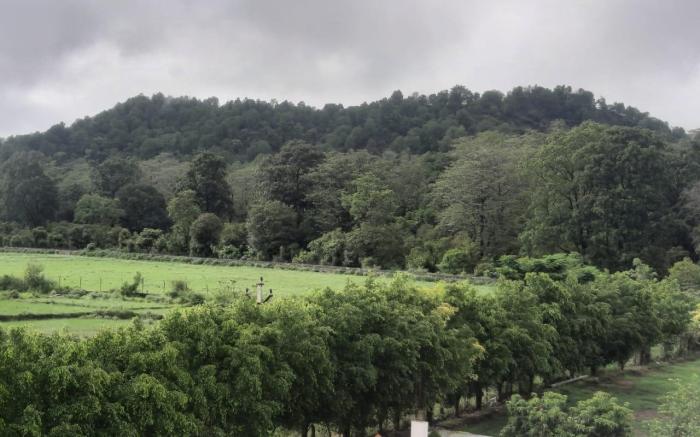 Corbett The Regnum Resort