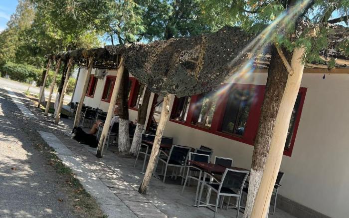 Hostel Gurasada