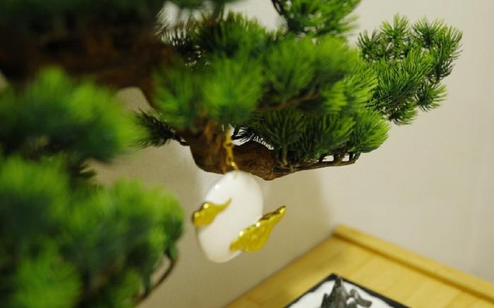 Birds Villa
