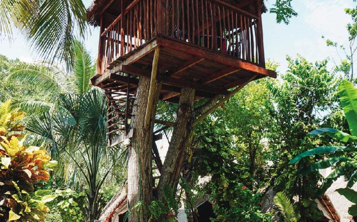 El Buho eco-cabañas hostal