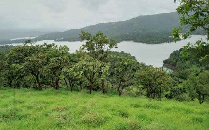 Radhika Wooden Villas