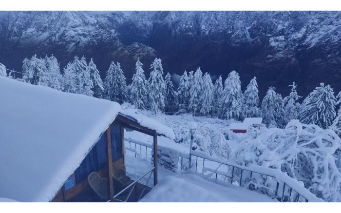Bluepoppy Resort Auli