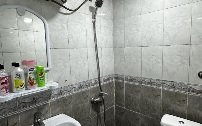 City Center Apartment 