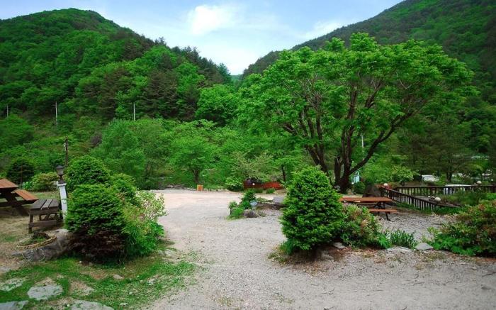 Small Village Pension