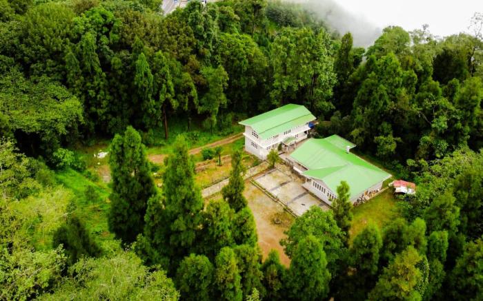 The Alpine Jungle Stay