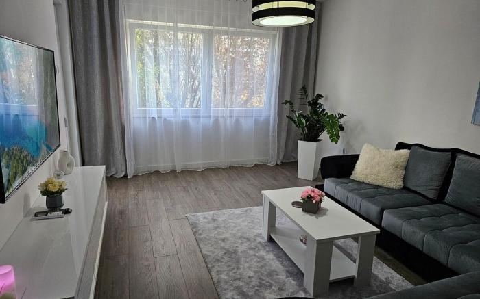 Apartman "Aleksandra" in city center