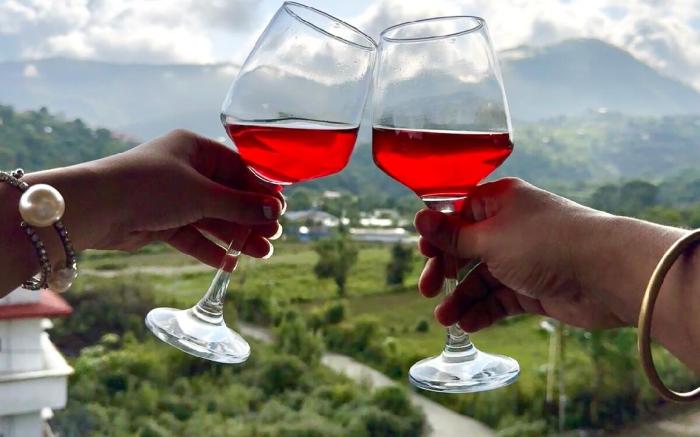Alaya Stays  Rhapsody 3BHK Villa in Nainital