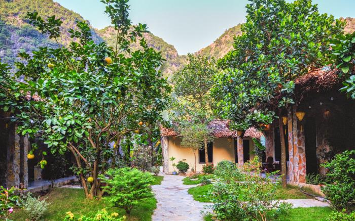 Cozy Beer Garden Homestay