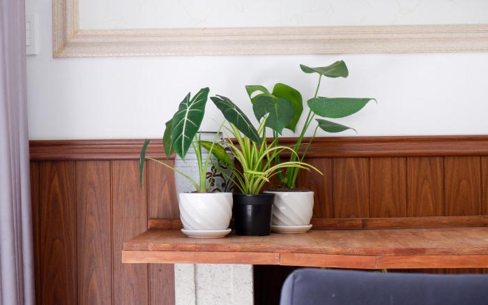 Faru Pine Woods Villa