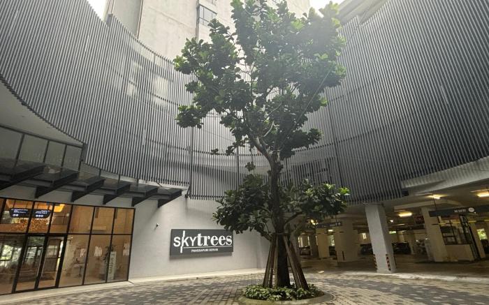 Sky Trees  Comfort room With Simple Design Concept