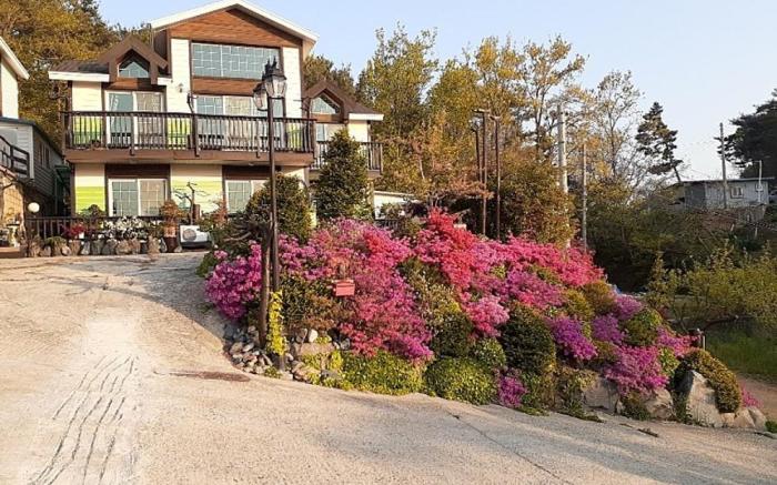 Anmyeondo Haemaru Tourist Farm