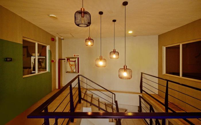 Rana Cebu