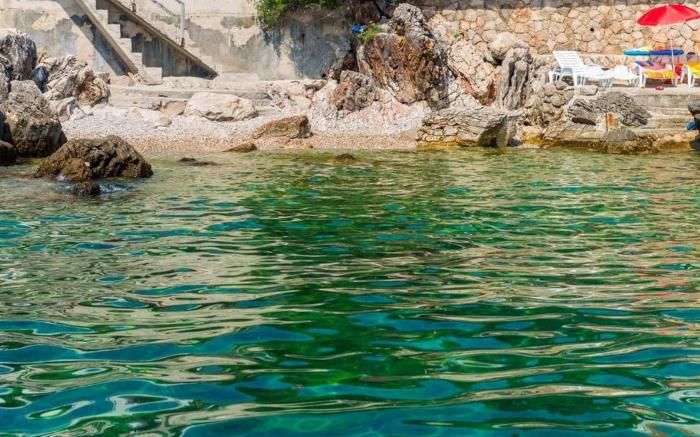 Apartments Rasica Molunat - Basic Studio