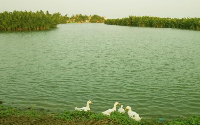 Lakeview Villa Homestay Hoi An