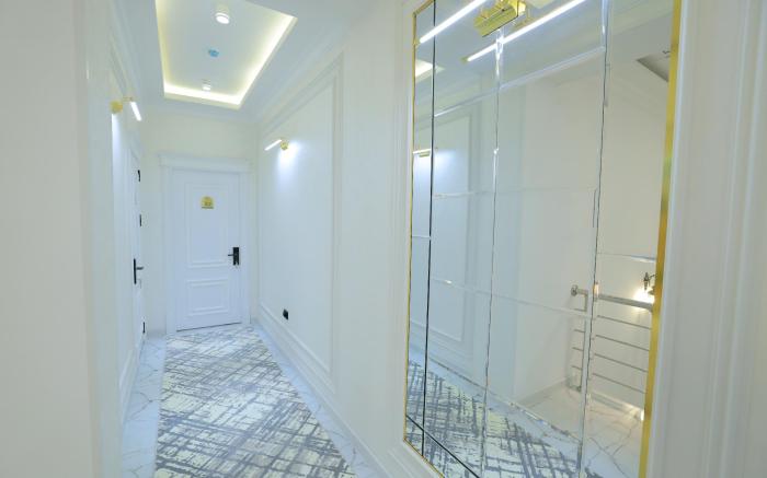 AMIR PLAZA PREMIUM hotel