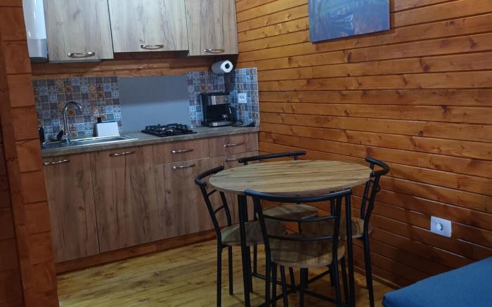 Tiny house Ocnele Mari