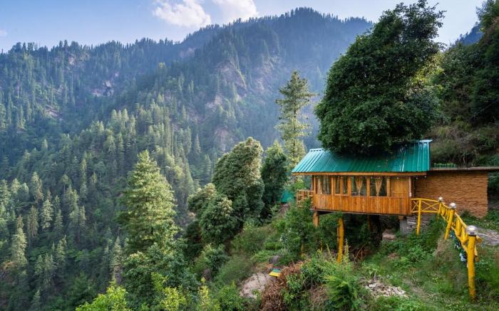 Bastiat Stays| Magnificent Treehouse| Valley View