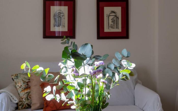 Sweet home Santander