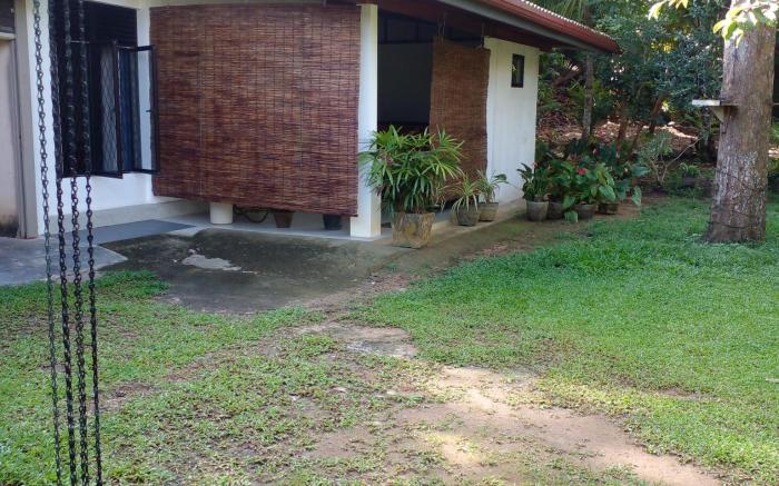 Serene Home