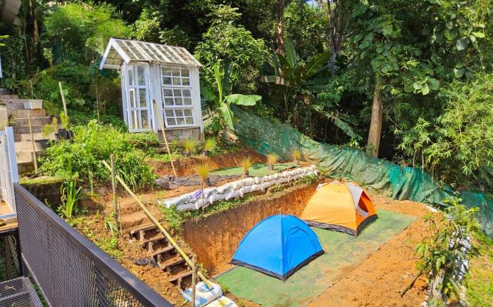 Balmy Hideout Cafe'&Homestay