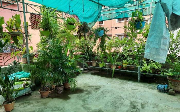 Perfect for Homely Atmosphere.