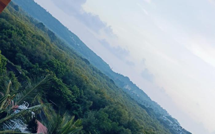 Luxury Apartment surrounded by nature. It's a gift