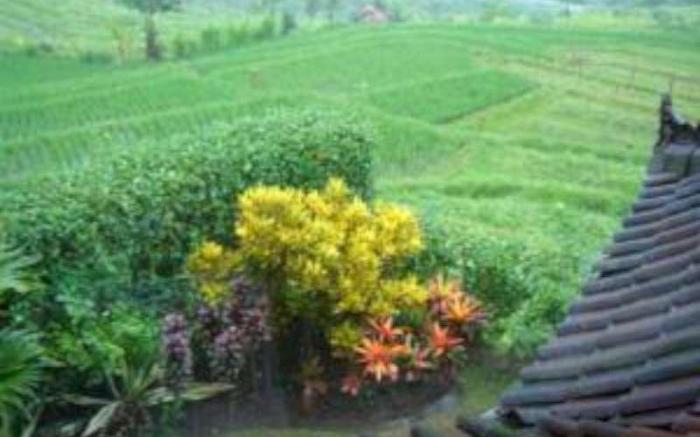 Nirarta Guest House