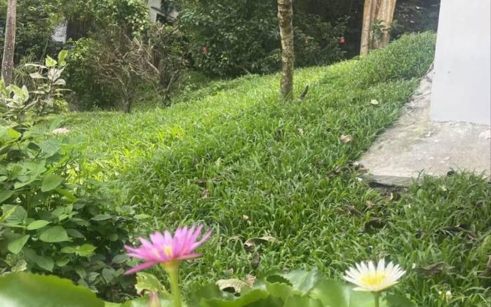 patong hill  villa 3