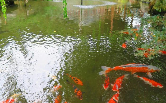 綠莊飛閣渡假會館
