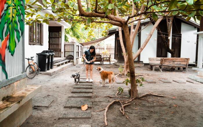 Aluntala Hostel