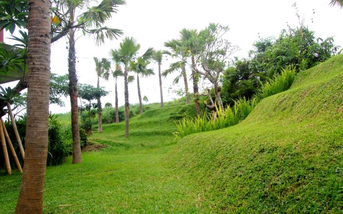 North Wing Canggu 3