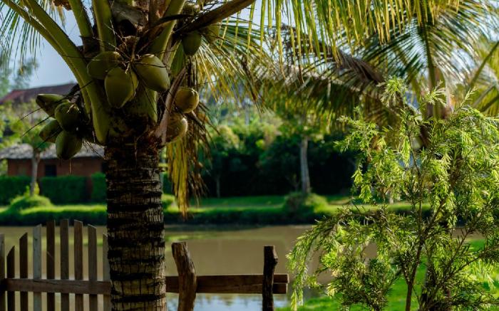 Xóm Sình Homestay & Farmstay Buôn Ma Thuột Đắk Lắk