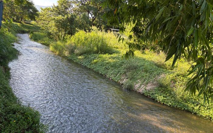 Ban Suan Salee, Suan Phueng, Ratchaburi