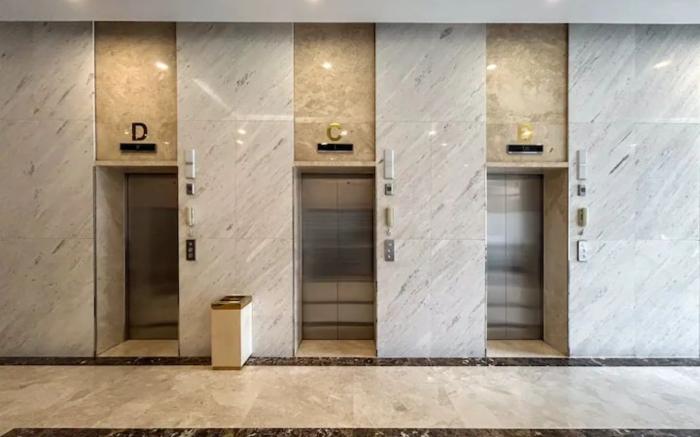 Terra Royal Apartment -  1 2 3 BR at District 3