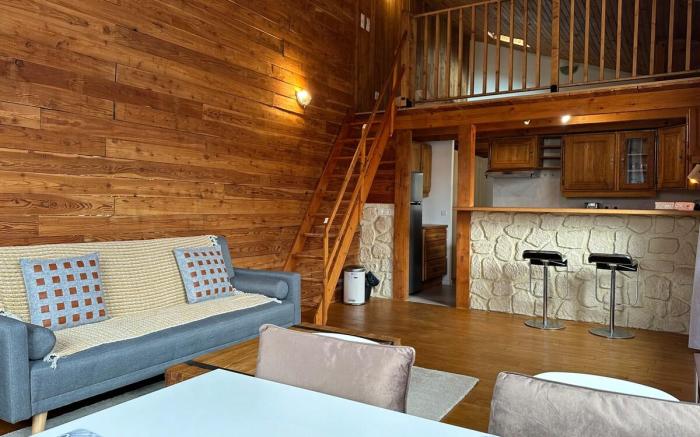 Duplex Chalet style /private yard 150m to RER