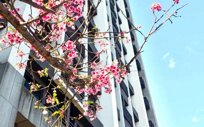宜蘭頭城日出景觀溫泉民宿