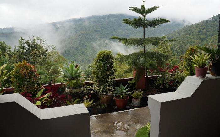 Maliana Homestay