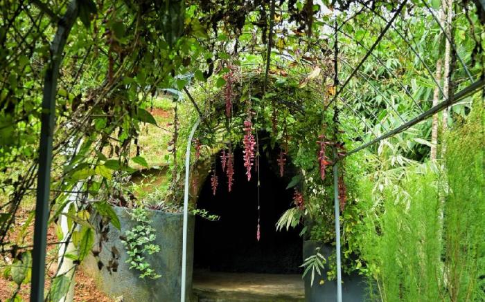Hobbit House, Silver Oaks Nature Retreat