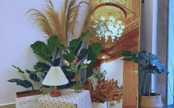 Nhat Hoang Homestay Da Lat