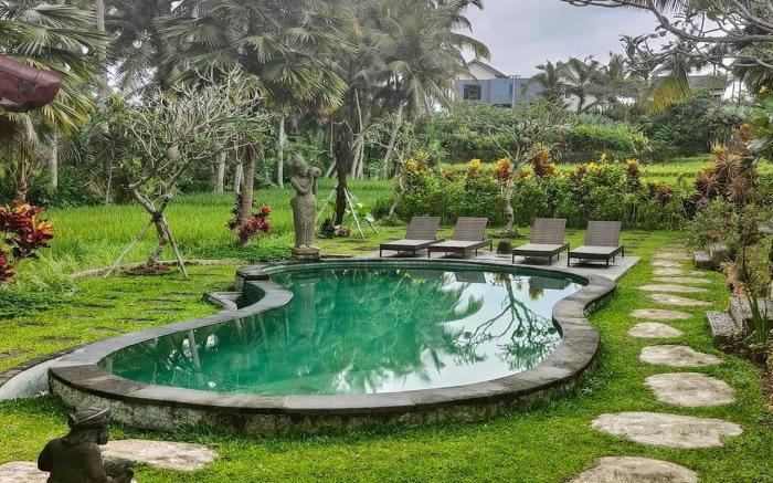 Budha House