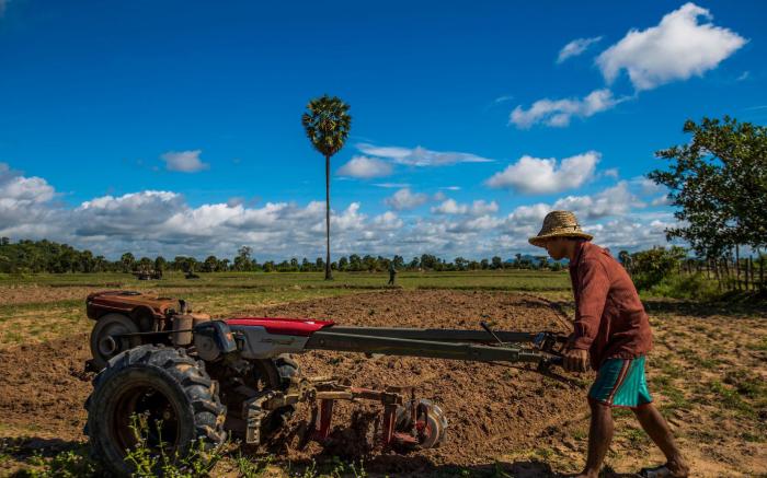 Khmer Homestead