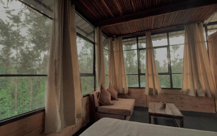 Grevillea retreat