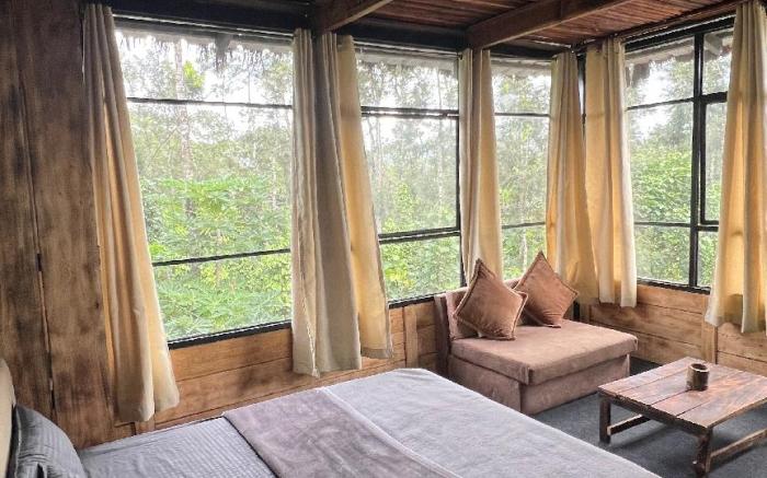 Grevillea retreat