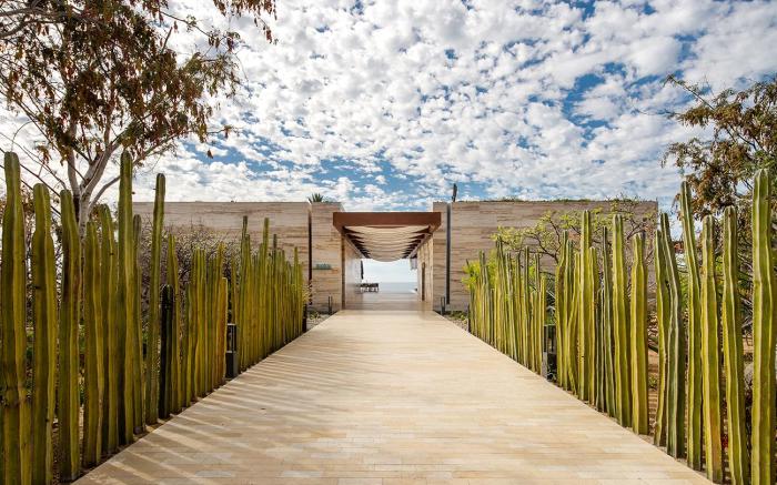 Solaz, a Luxury Collection Resort, Los Cabos a Marriott Hotel