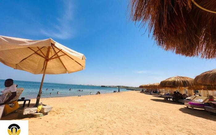 Princess Resort 354