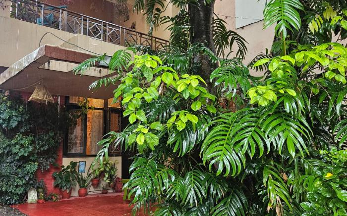 Rupi's Retreat In Dehradun
