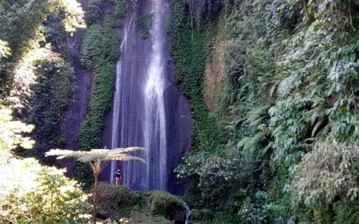 Natural Hill Cisarua