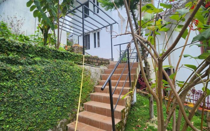 Leaf colour homestays 